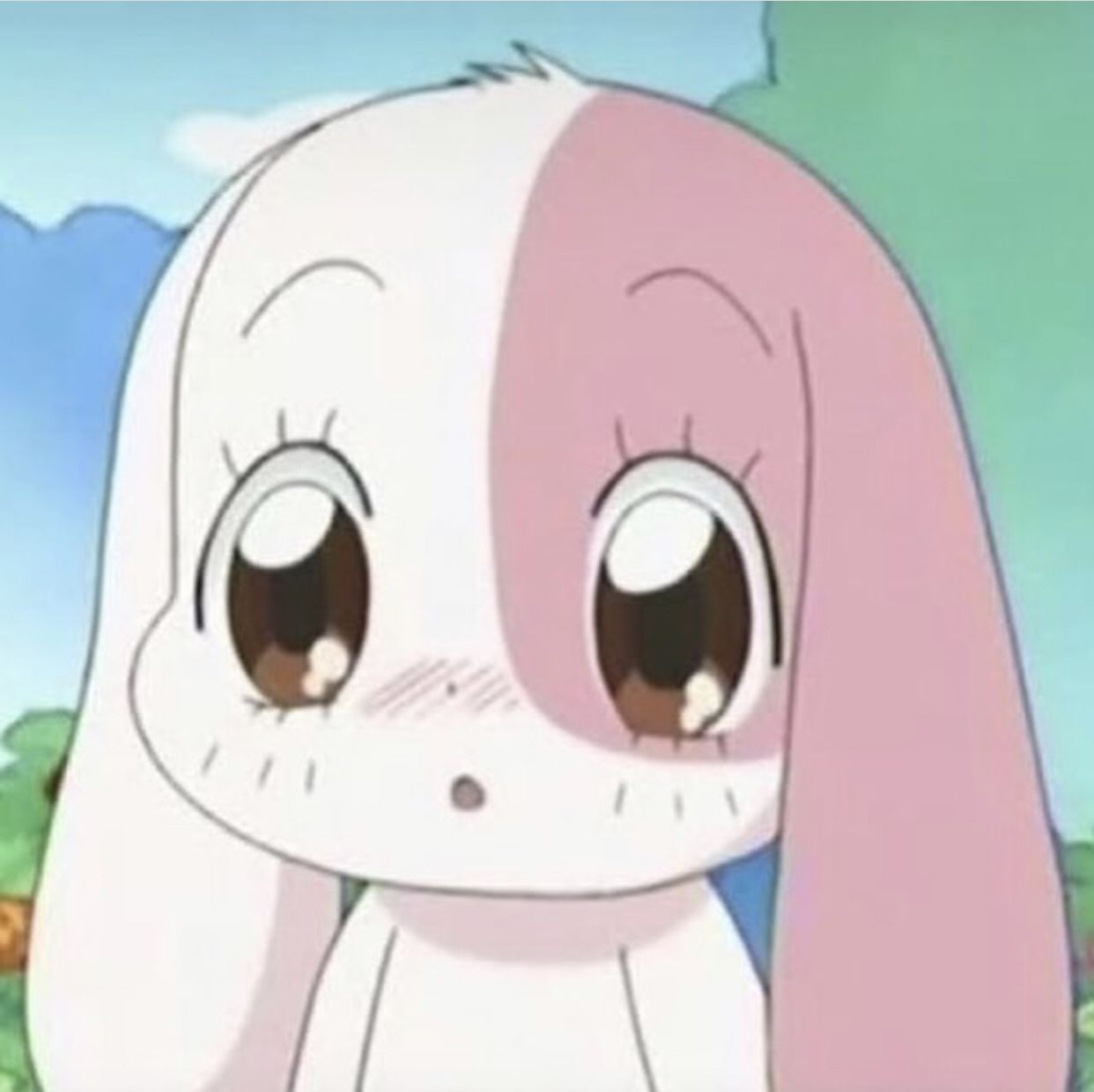 Featured image of post Anime Bunny Pfp