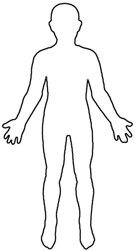 Featured image of post Blank Human Body Diagram For Kids