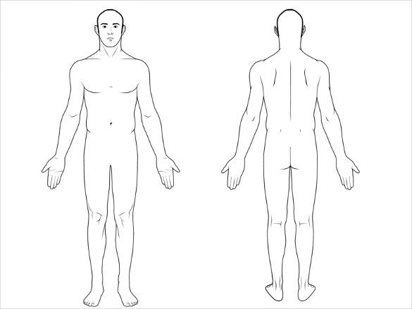 Featured image of post Blank Human Body Diagram Male