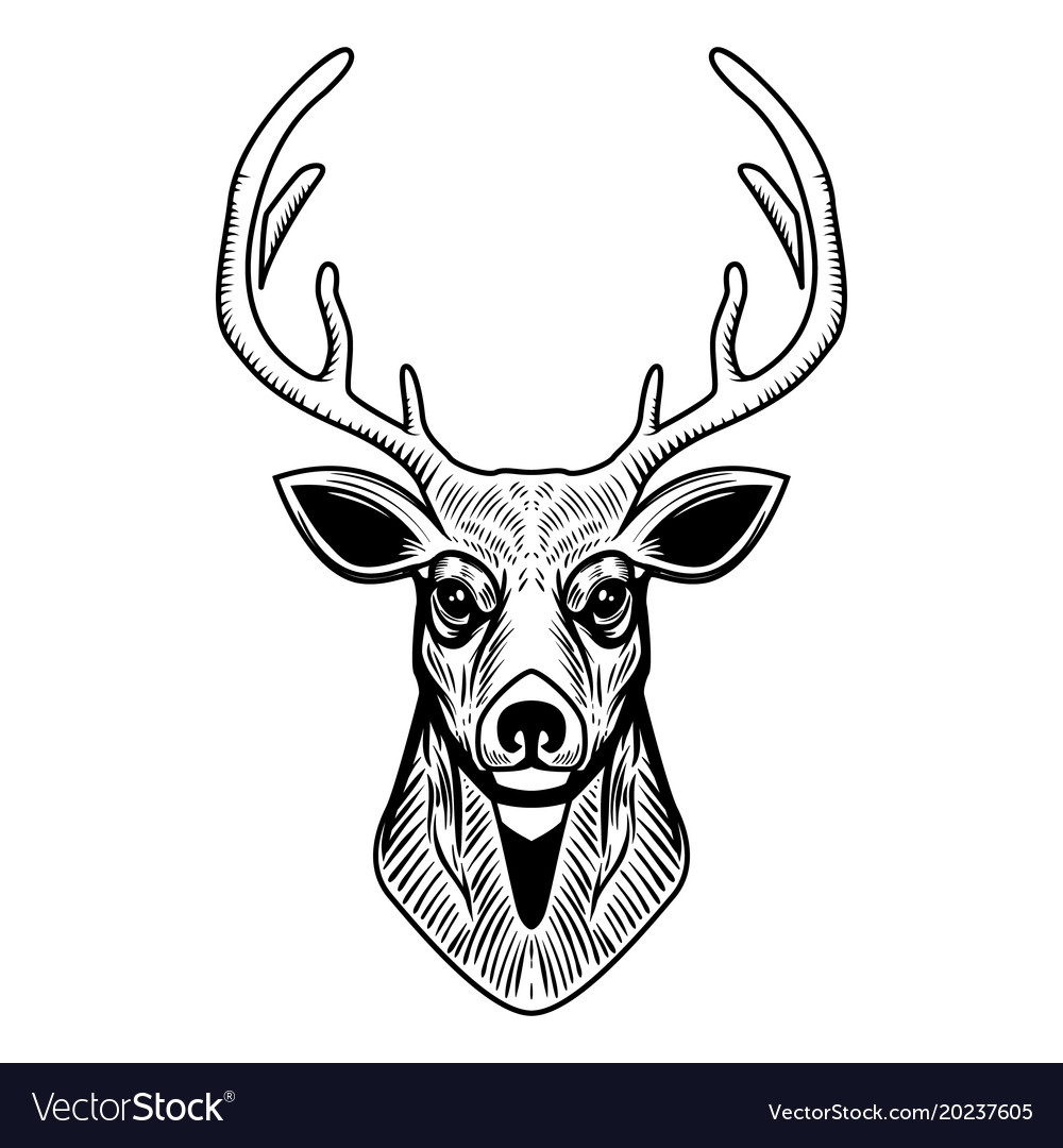 Featured image of post Cool Deer Head Design