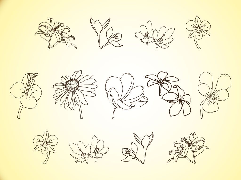 Featured image of post Simple Line Art Flowers